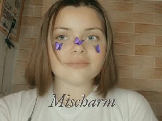 Mischarm