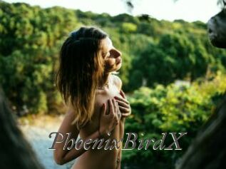 PhoenixBirdX