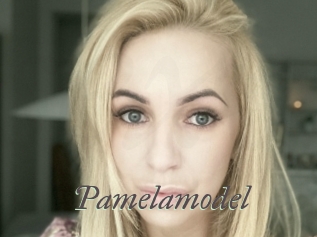 Pamelamodel