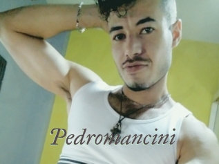 Pedromancini