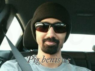 Pig_benis_25