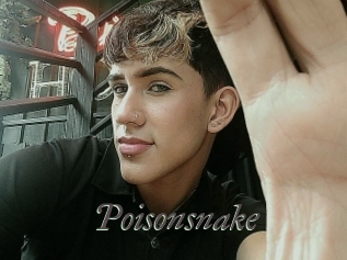 Poisonsnake