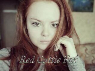 Red_Cuttie_Fox