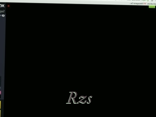 Rzs