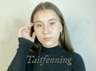 Taitfenning