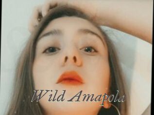 Wild_Amapola