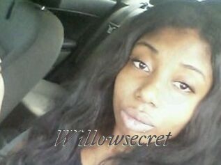 Willow_secret