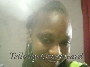 Yellowpetitnessheard